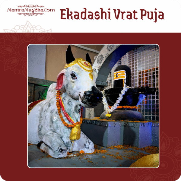 Ekadashi Vrat Puja
