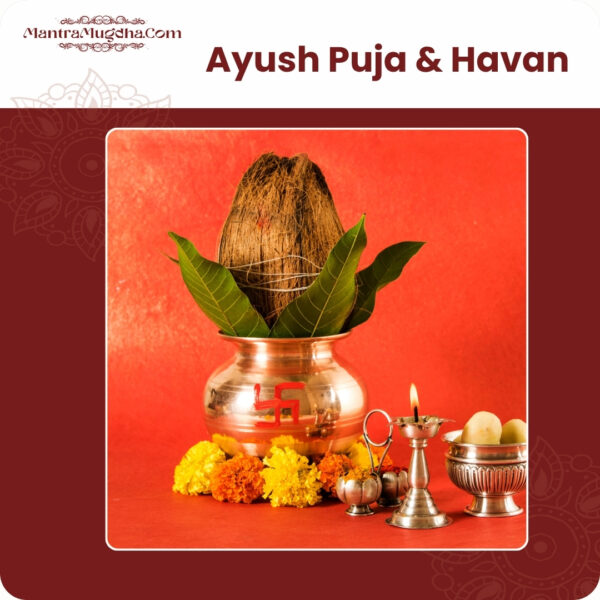Ayush Puja & Havan