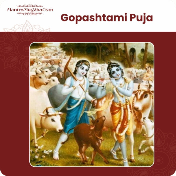 Gopashtami Puja