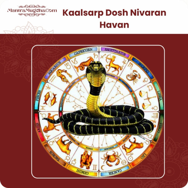 Kaalsarp Dosh Nivaran Havan