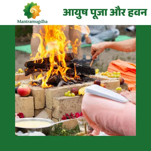 ayush puja Ayush Puja & Havan | Near Me Pandit Jii - Image 1