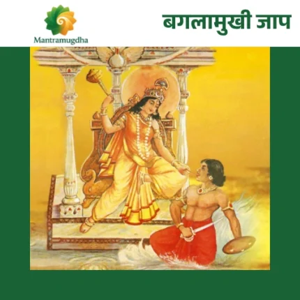 Baglamukhi Jap Anusthan Pooja : Invoke the Power to Silence Adversaries & Overcome Obstacles