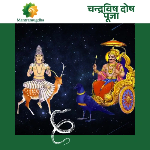 chandravish dosh nivaran Chandra Vish Dosha Nivaran Puja: Harmonize Your Mind and Mitigate Saturn's Influence - Image 1