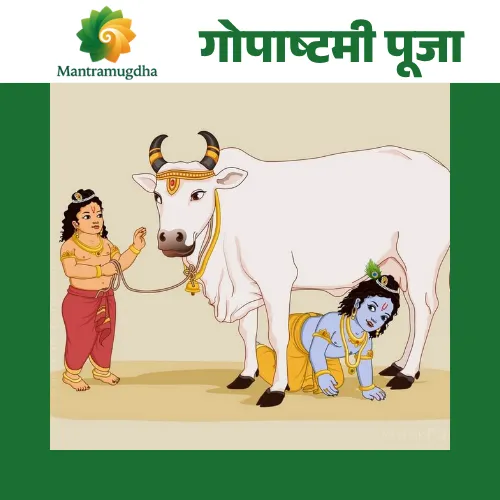 gopashtami puja Gopashtami Puja - Image 1