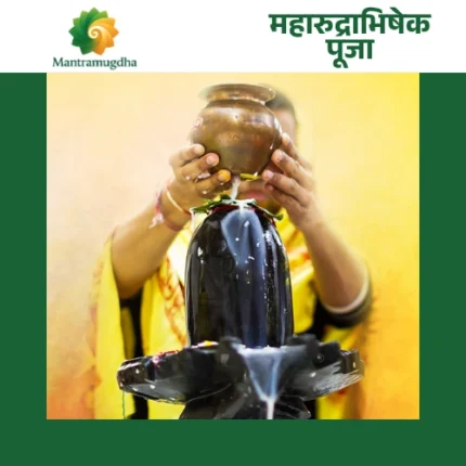 Maharudrabhishek Puja: The Grand Invocation of Lord Shiva's Fiercest Form