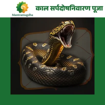Kaalsarp Dosh Nivaran Havan – Powerful Remedy for Sarpa Dosha | Book with Mantramugdha